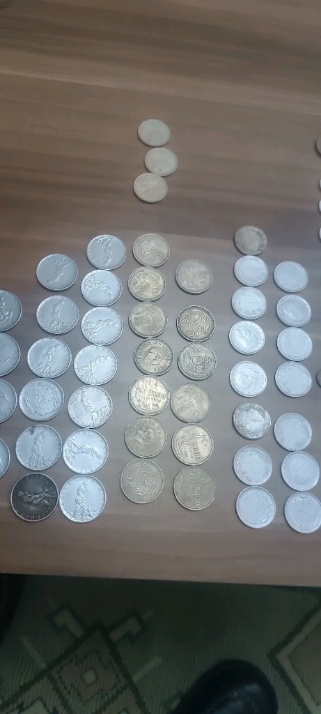 para koleksiyon - 2