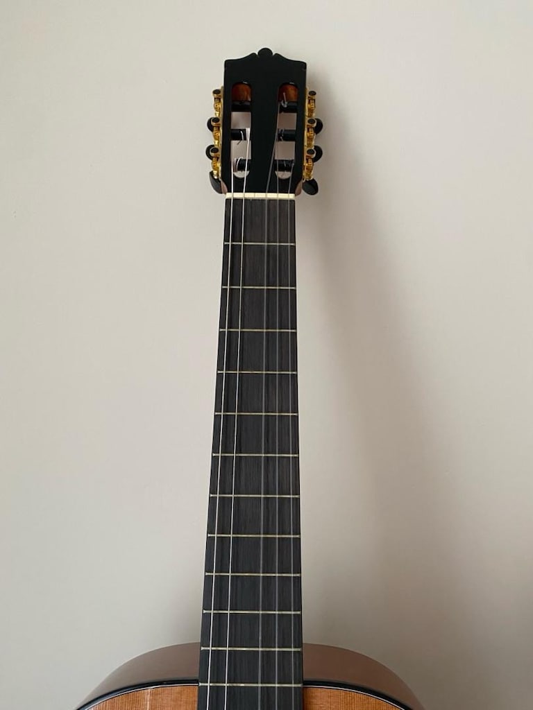 Martinez Gitar+Kılıf - 3