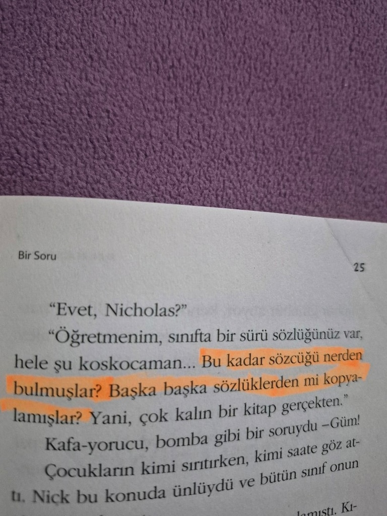 Bunun Adı Findel - Andrew Clements - 3