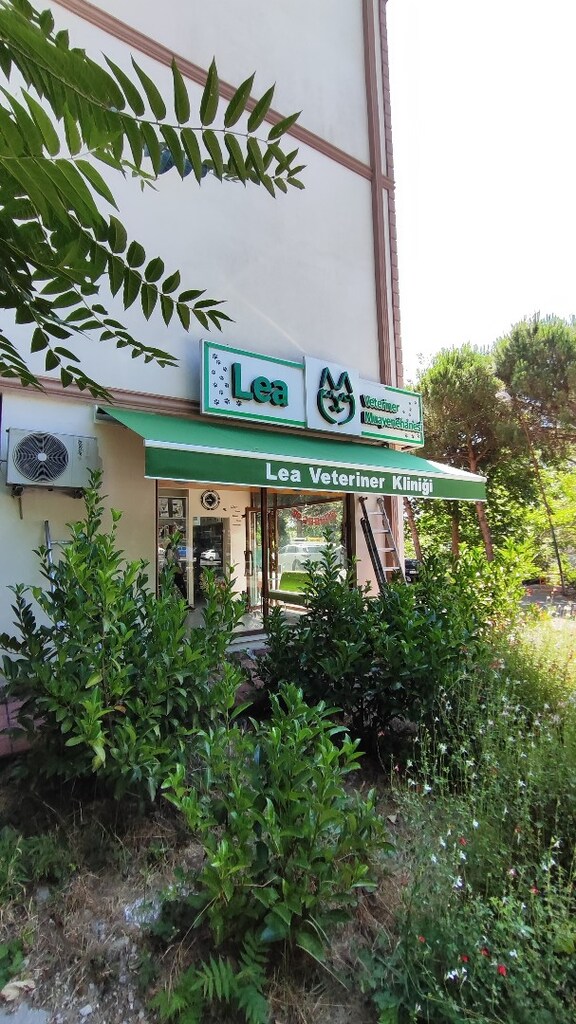 tente branda - 2