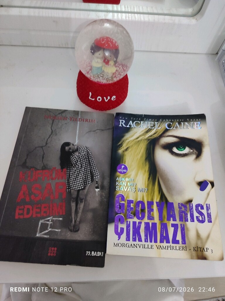 isikli kar kuresi ve roman