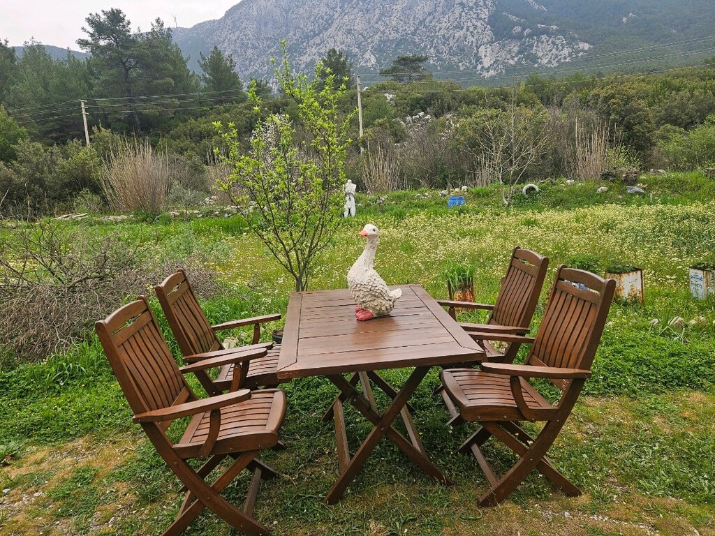 Katlanır Tik ağacı Katlanır kolçaklı masa sandalye - 4