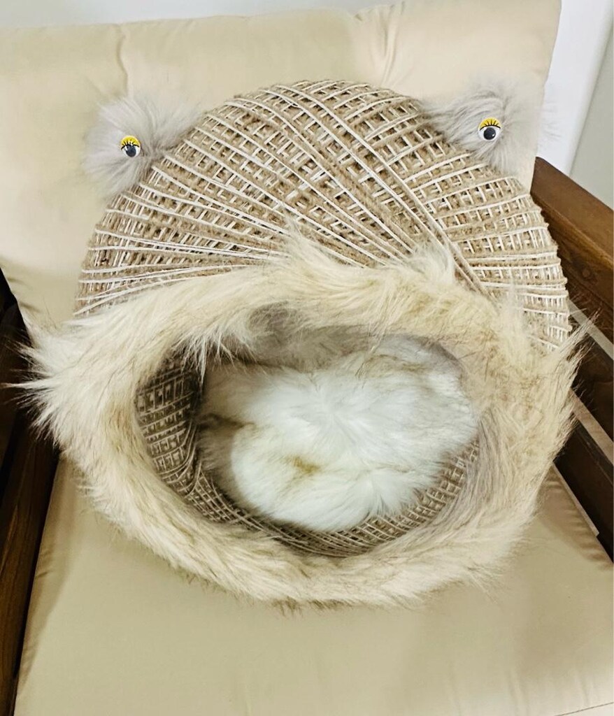 kedi yatagı hasırdan temiz - 3