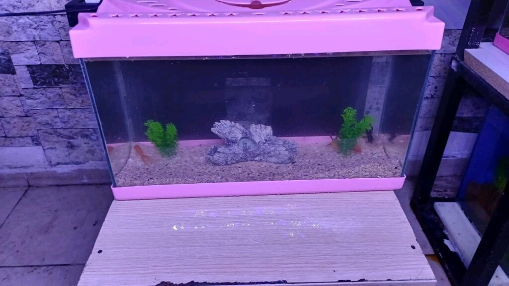 kurulu sıfır akvaryum - 3