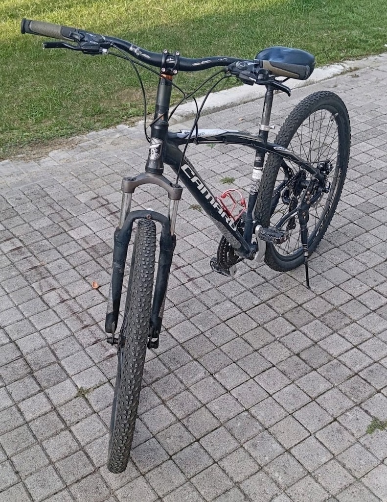 29 JANT 21 VİTES ÇİFT DİSK FREN BÜYÜK BOY BİSİKLET - 2