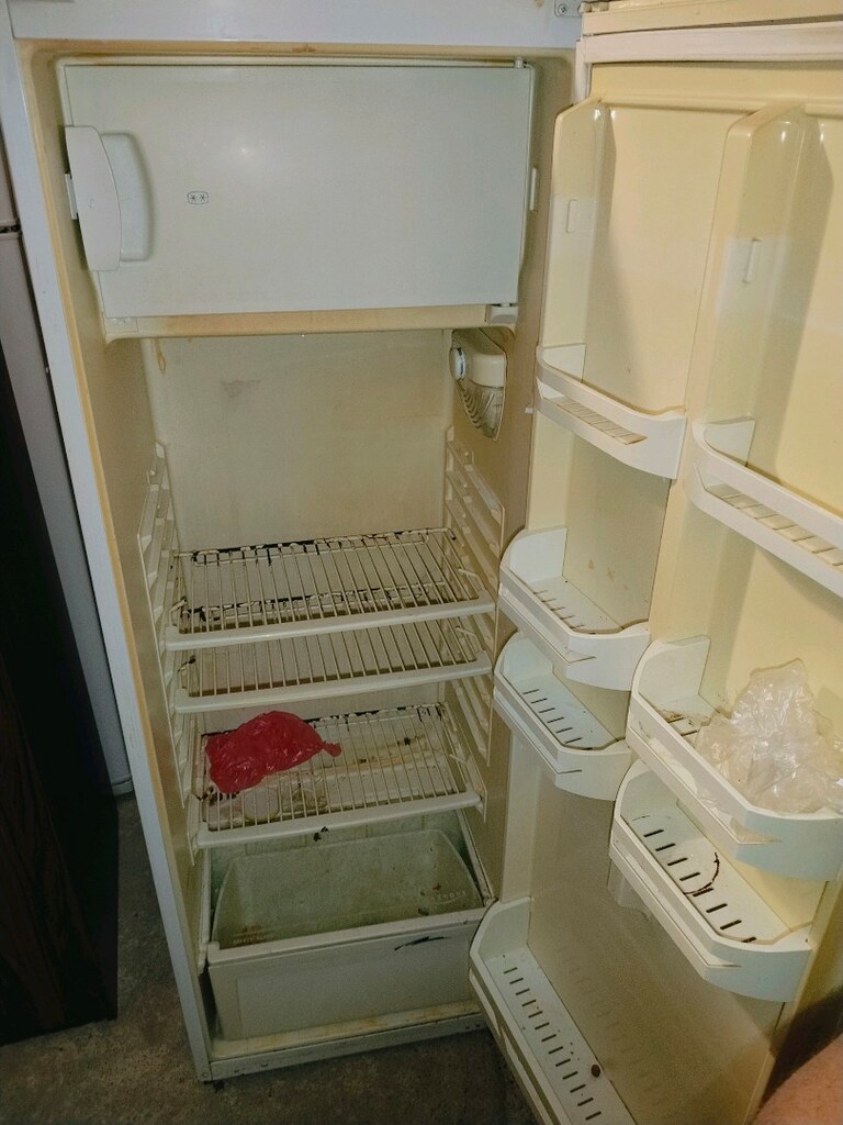 tek kapılı Regal buzdolabı - 2