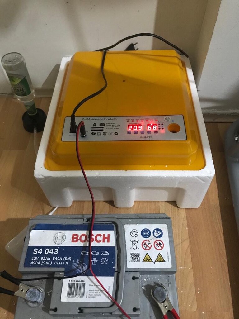 tam otomatik sıfır kuluçka makinesi - 3