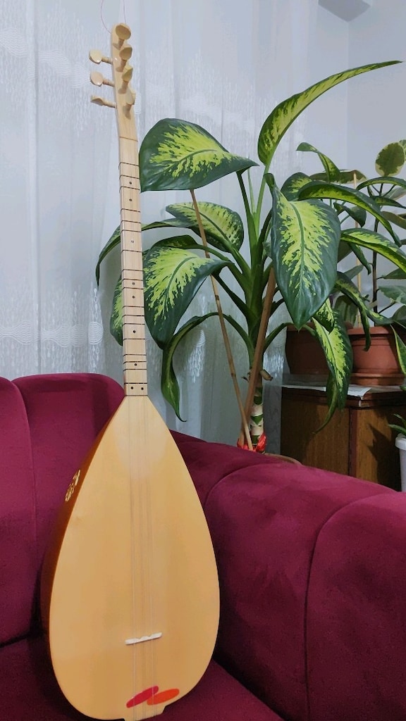 41.5 tekte dut bağlama - 4