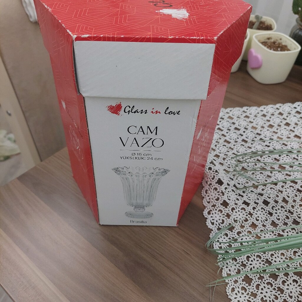 vazo - 4