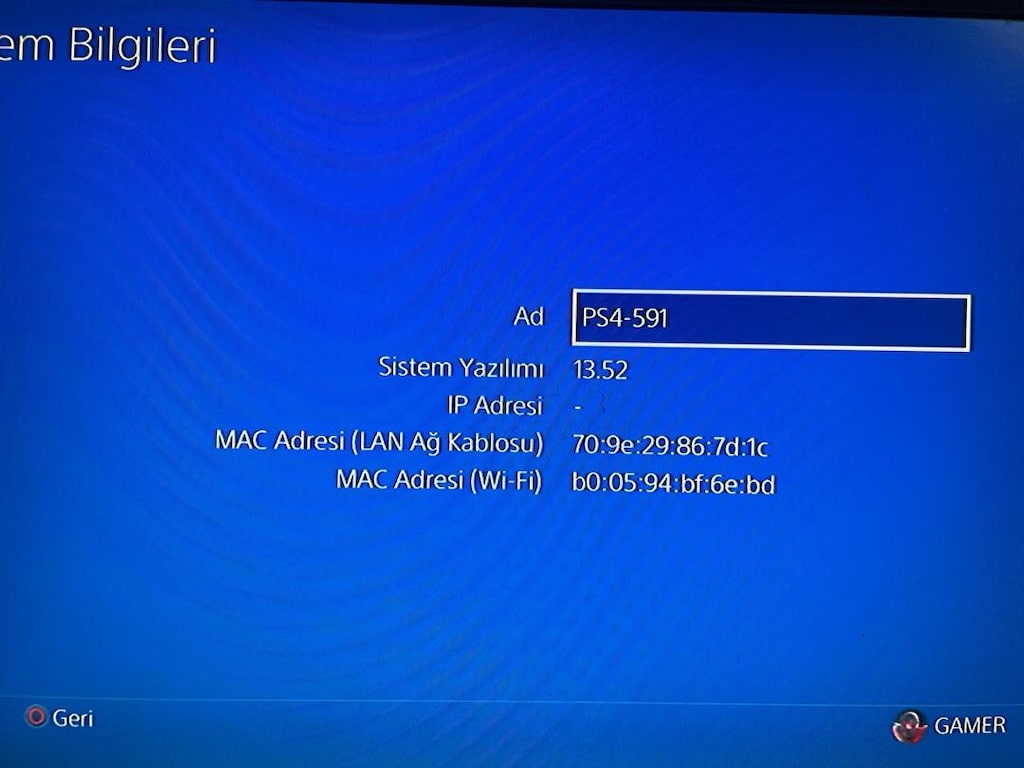 Temiz Ps4 Fat Kasa + 2 kol - 4