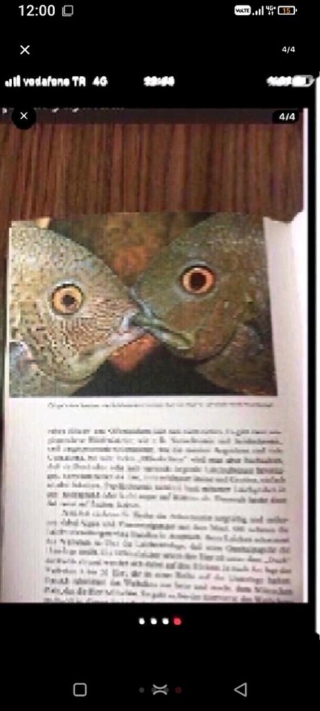 almanca baskı akvaryumda nasıl bakılır ve üretilir tüm bilgiler var - 4