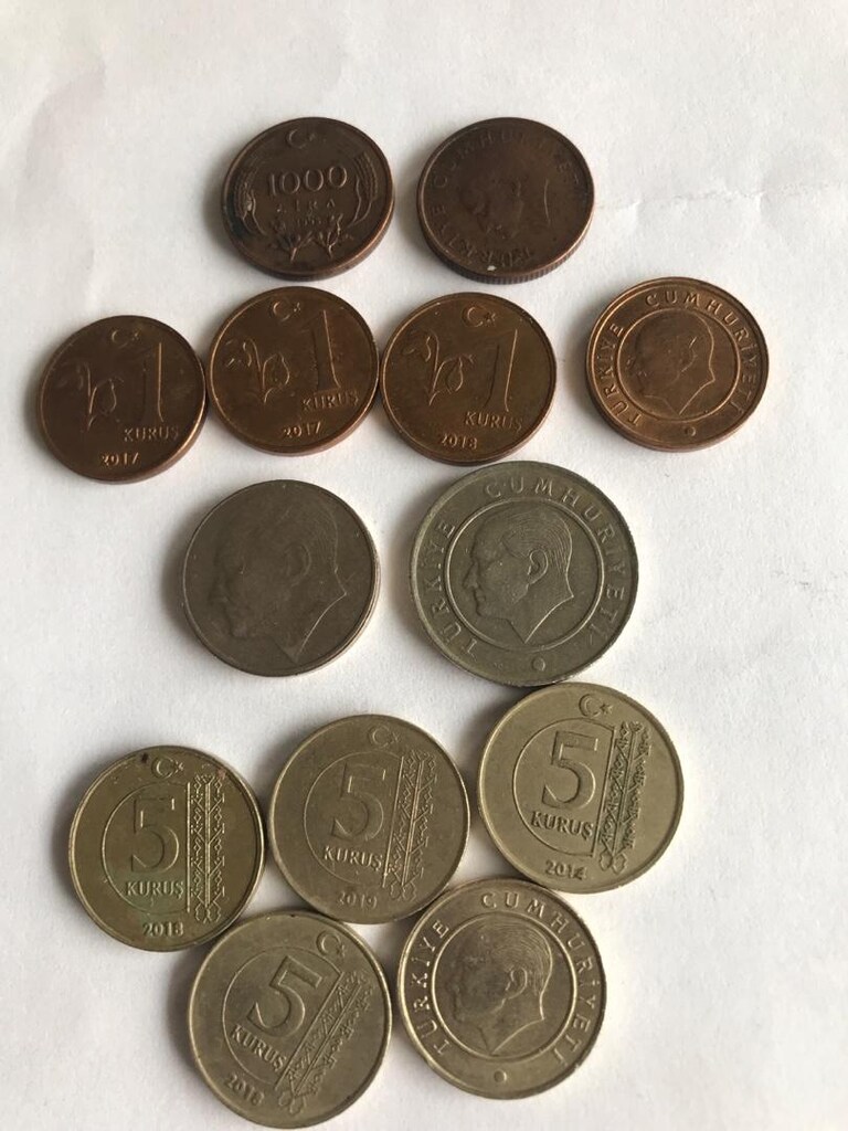 kolleksiyonluk eski madeni paralar liralar kuruşlar - 3