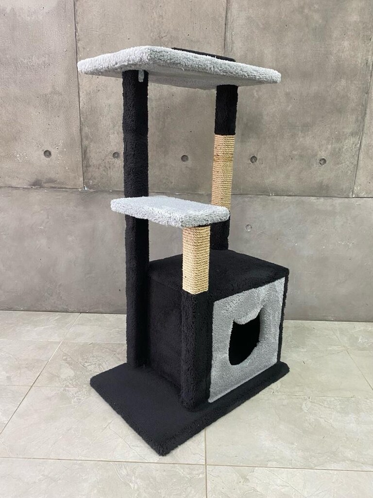 kedi evi - 3