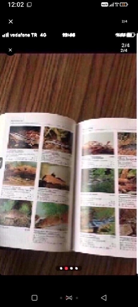 almanca baskı akvaryumda nasıl bakılır ve üretilir tüm bilgiler var - 2
