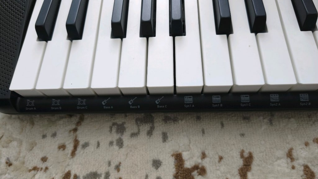 Casio Org - 3