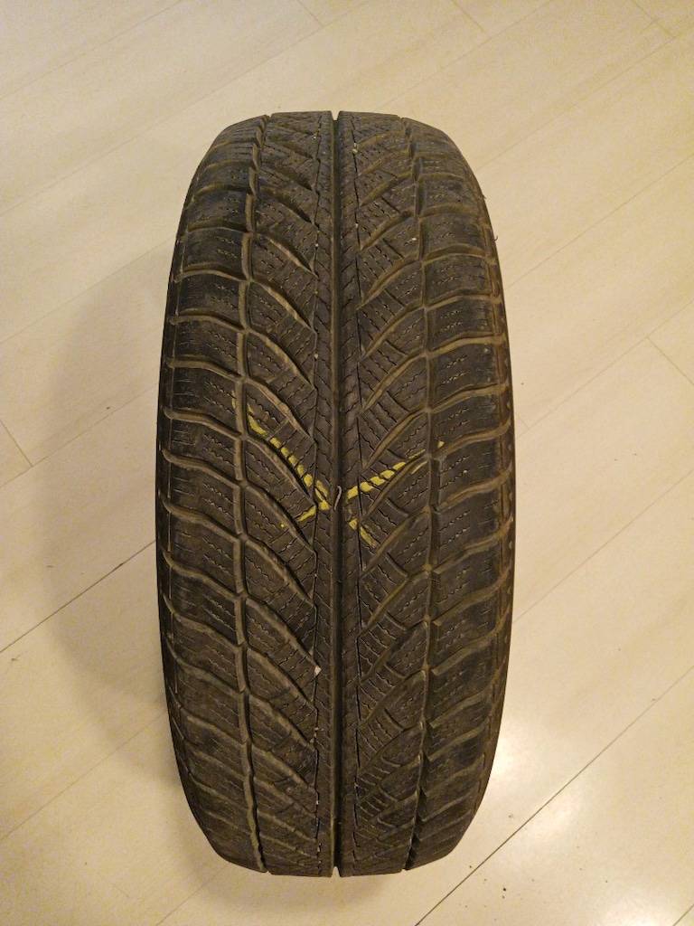Goodyear 205/60/16 RunFlat kışlık lastik - 6