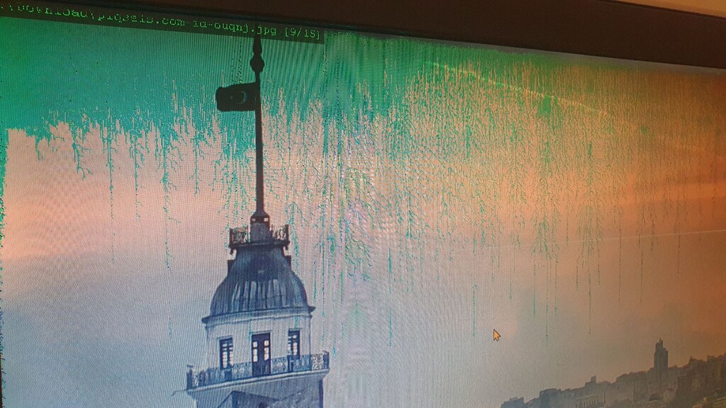 HASARLI: HP w2207h 22 inç LCD Monitör - 3