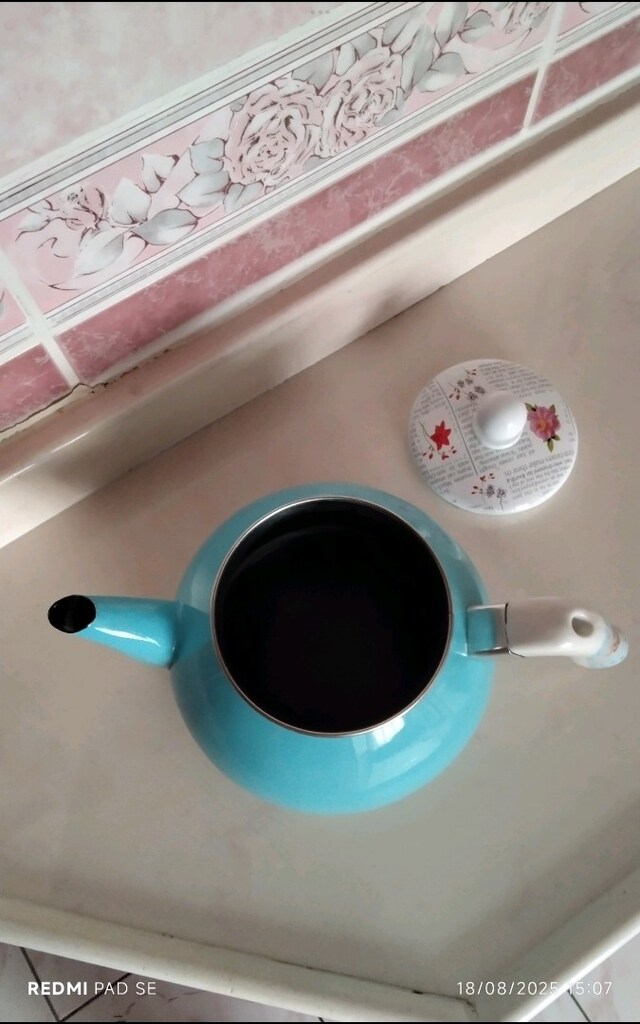 büyük boy çaydanlık - 3