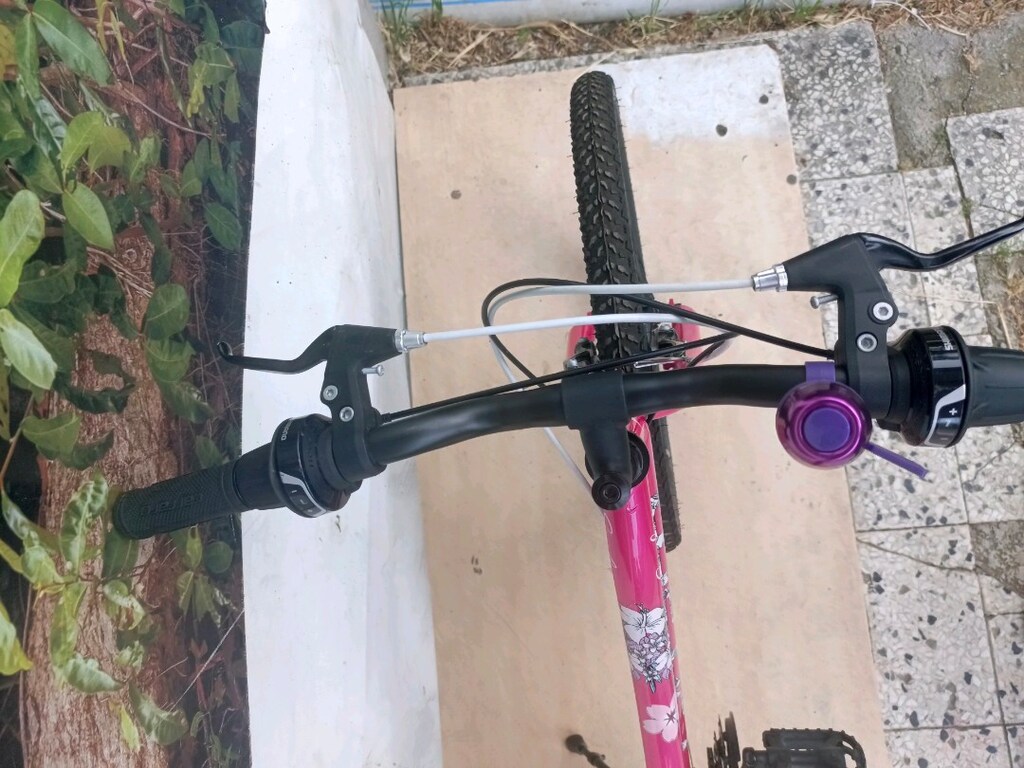 24" CANT CARRARO speed 242 KIZ BİSİKLETİ - 10
