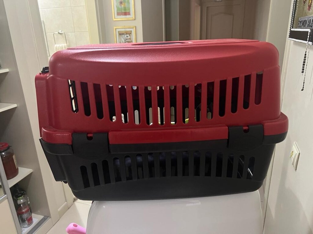 KEDİ TAŞIMA ÇANTASI - 3