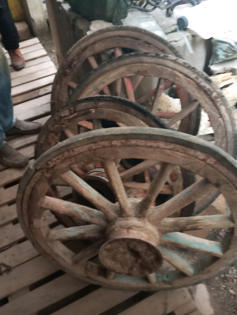 at arabası tekeri - 4