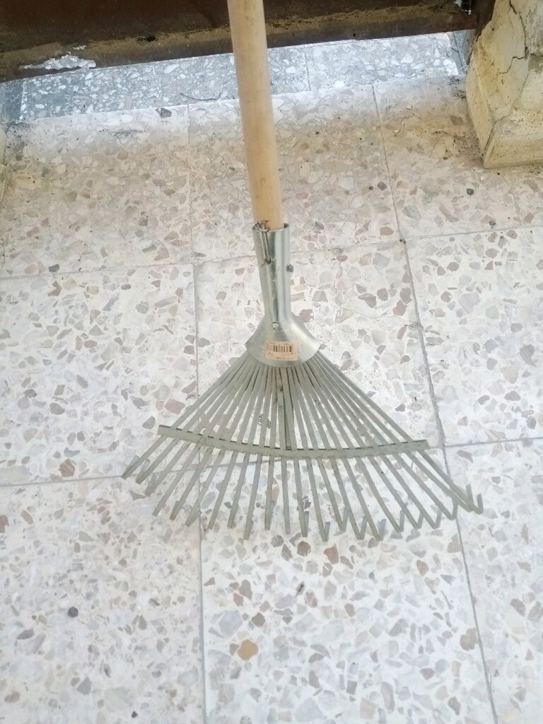 Çim tırmığı - 2