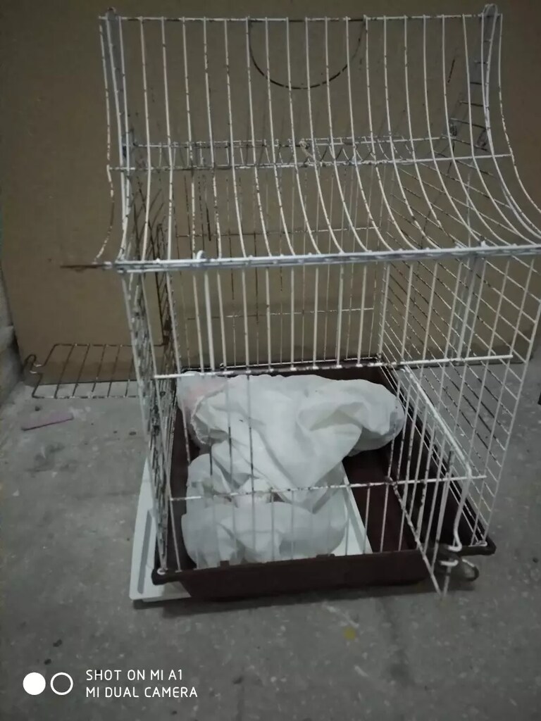 Kuş kafesi iki kapılı - 3