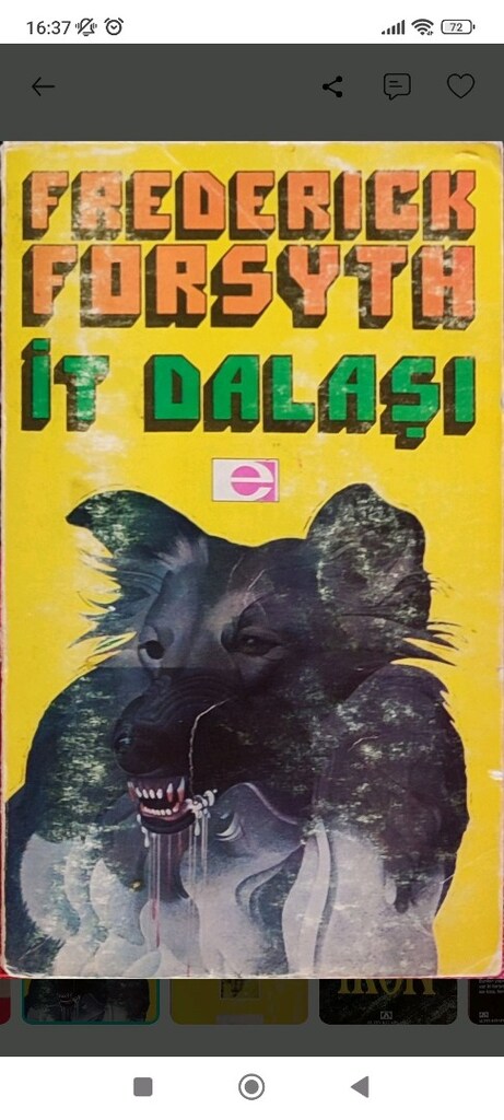 Frederick Forsyth Kitapları - 4