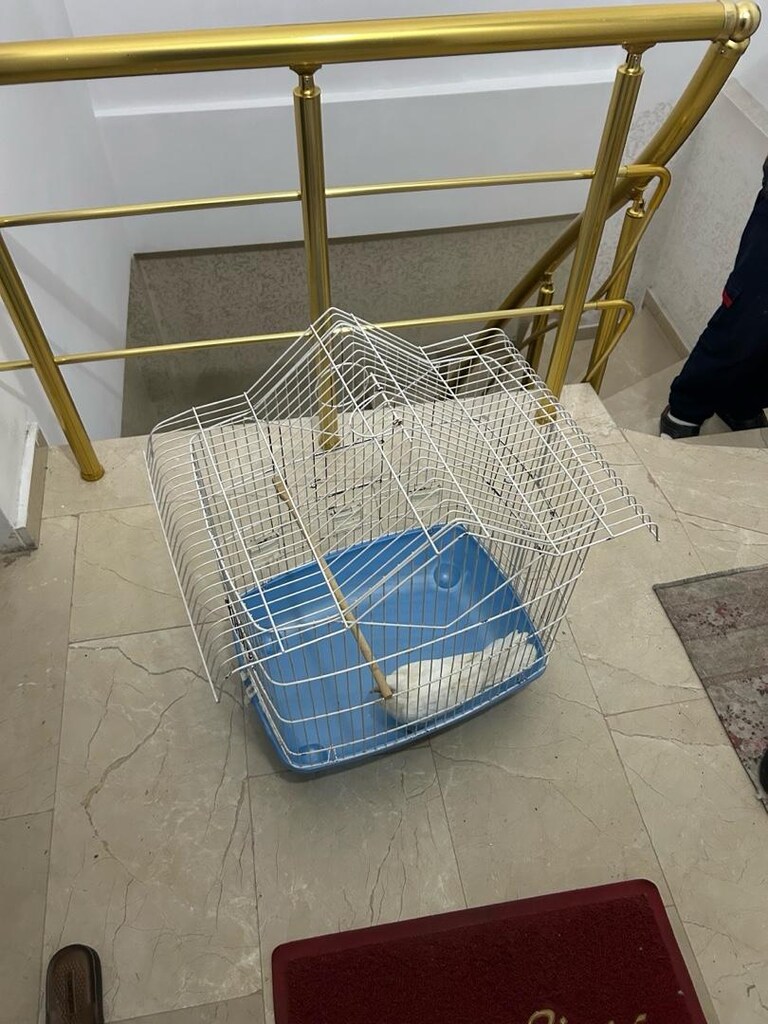 Satılık papağan kafesi - 2