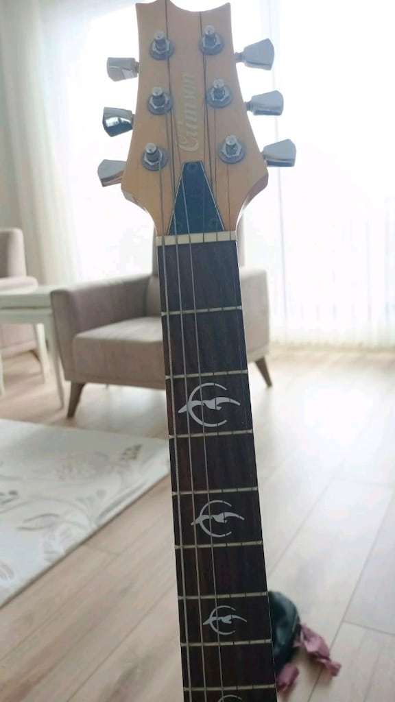 Crimson Elektro Gitar - 3