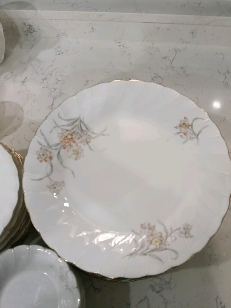 "New east"SHINTO MADEIN JAPAN porselen yemek takımı - 20