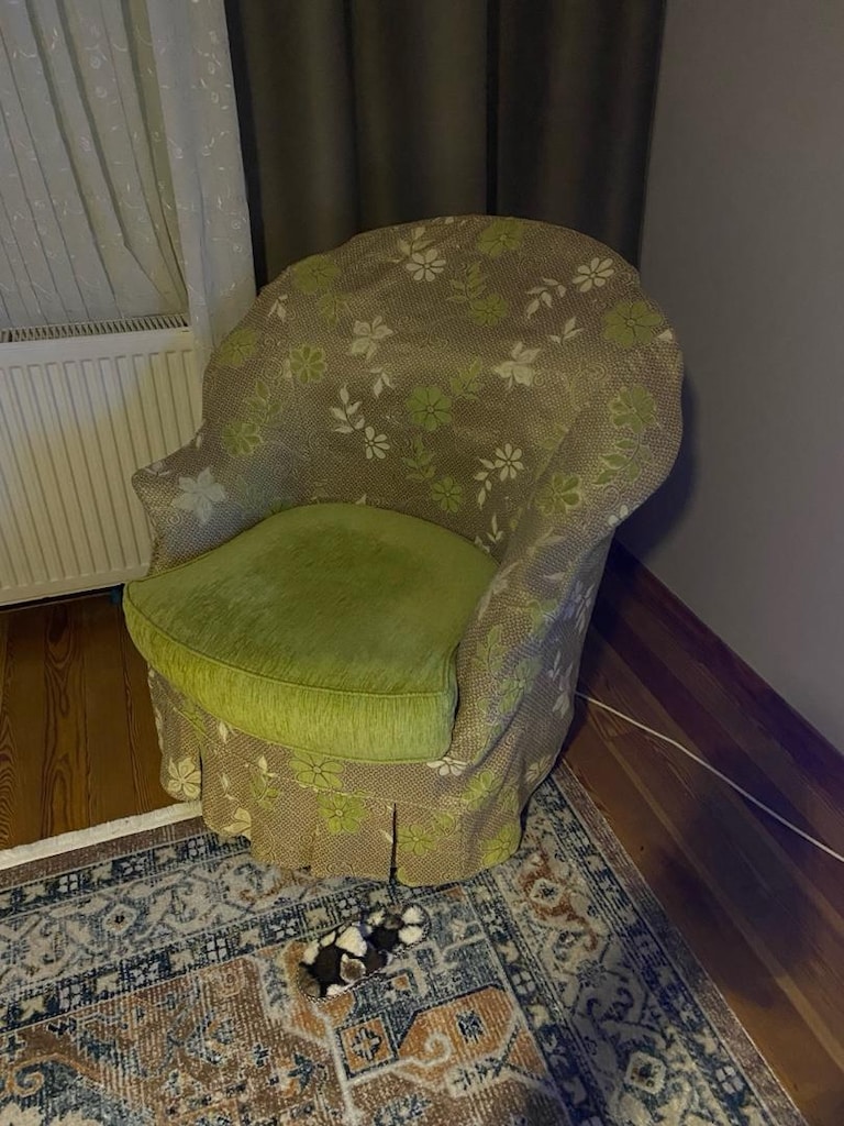 1 adet 3 lü 4 adet tekli koltuk takımı - 4