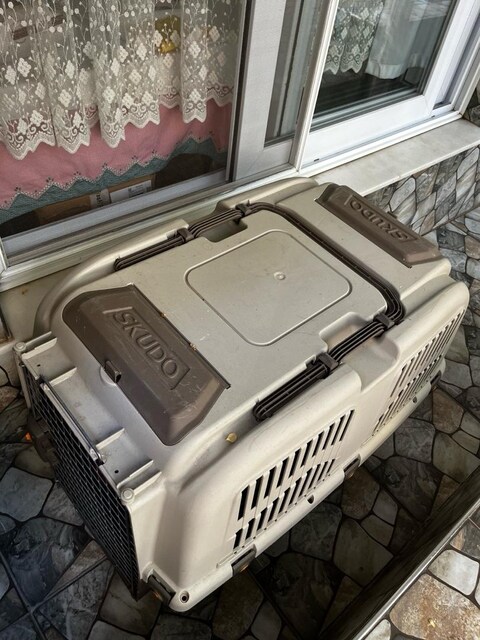 skudo 6 numara köpek taşıma box