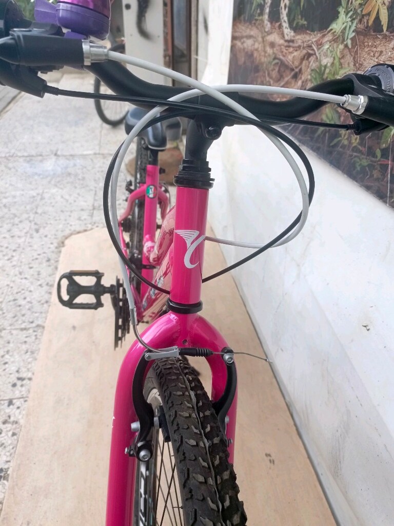 24" CANT CARRARO speed 242 KIZ BİSİKLETİ - 11