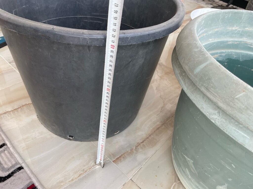 saksı - 3