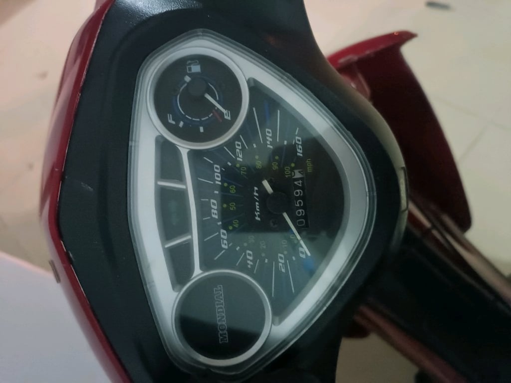 SAHİBİNDEN BAKIMLI VE ÇANTALI / 2019 MONDİAL 100 SFC AUTOMATIC XL - 7