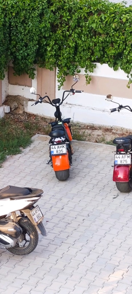 ELEKTRİKLİ MOTOR açıklamayı okuyun - 2