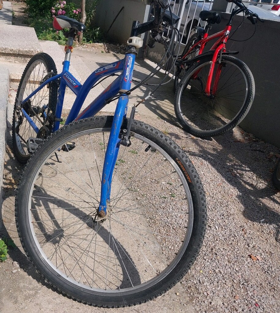 CANELLO-Force bisiklet-26 jant-21 vites - 3
