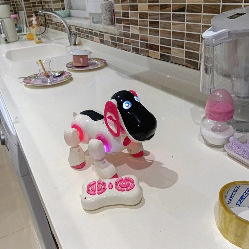 konuşan köpek micro - 2
