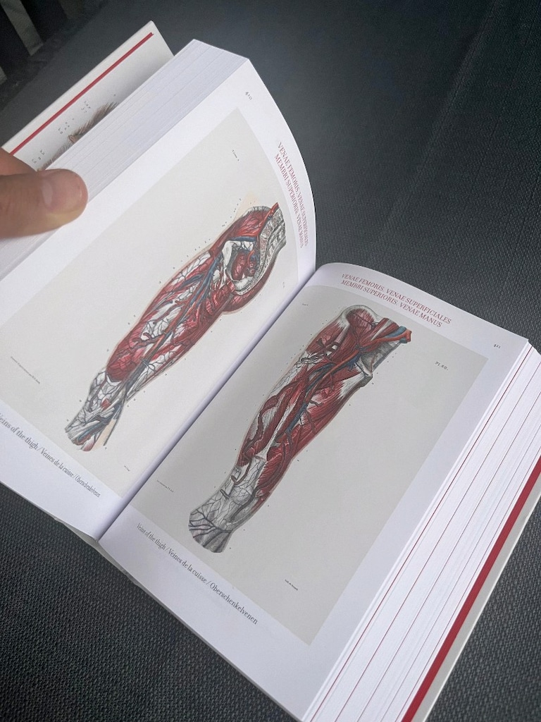 Human Anatomy İngilizce Anatomi Kitap - 2