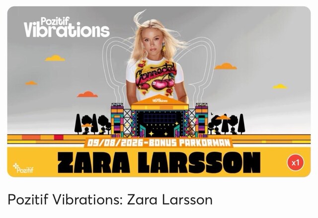 zara larsson konser