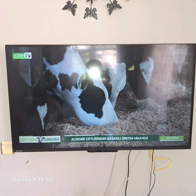 toshiba tv