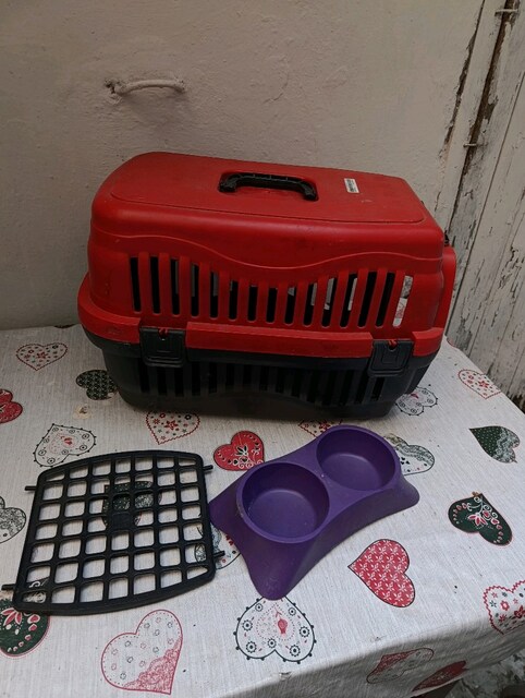 kedi taşıma çantası