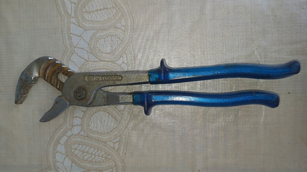 ALMAN PAPAĞAN PENSE - 3