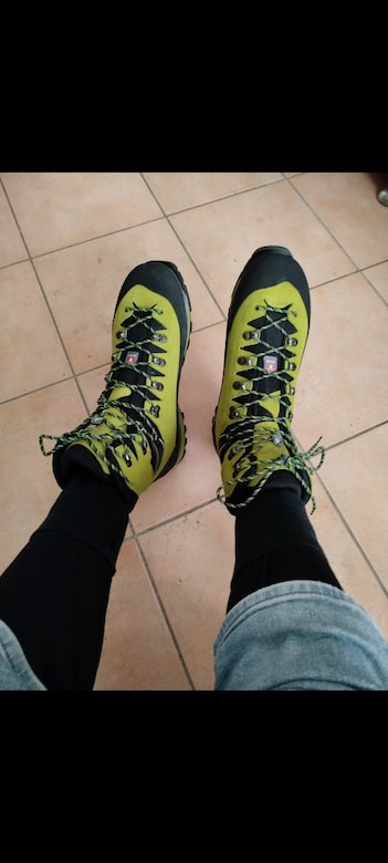 Lowa Alpine Expert II - 7