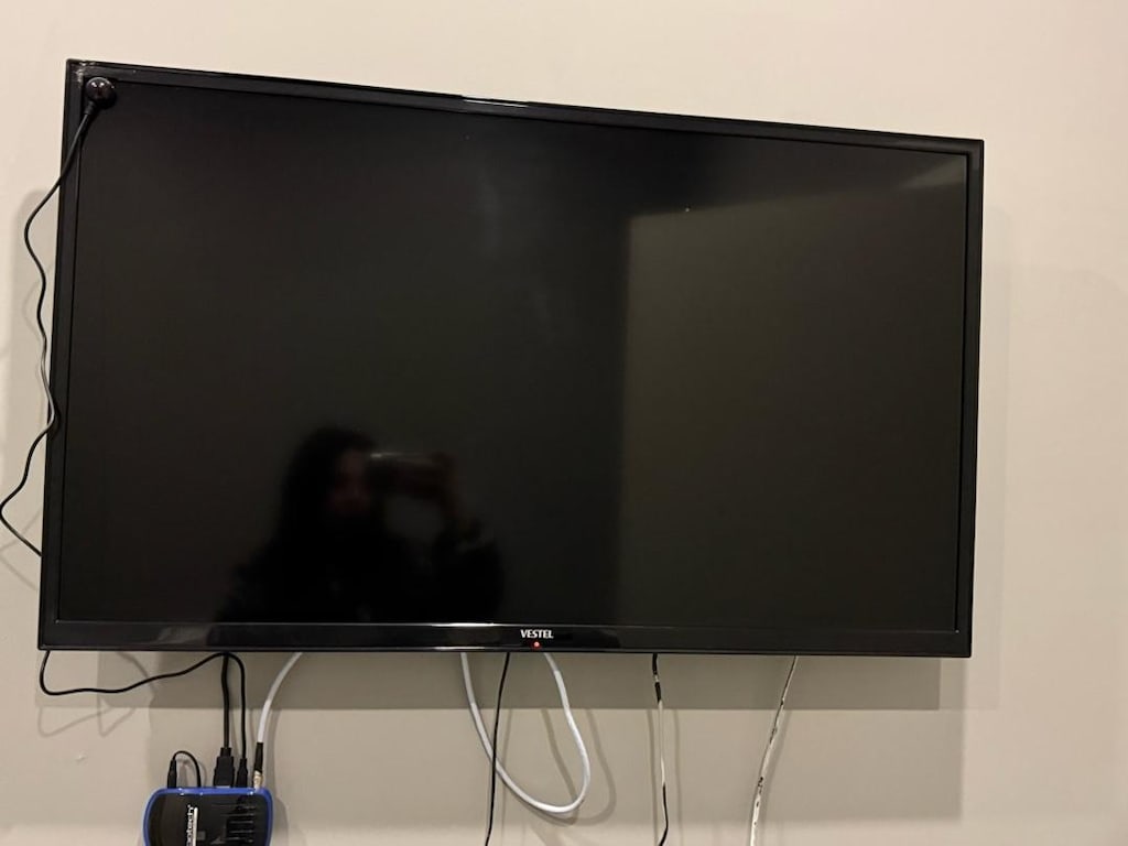 Vestel 109 Ekran (43 İnç) TV + Uydu Alıcısı - 2