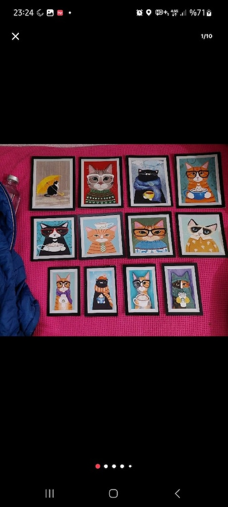 Kedi sırt çantası. Kedi tuvaleti,kedi tarağı. Kedi tablo.Kedi oyuncağı - 13