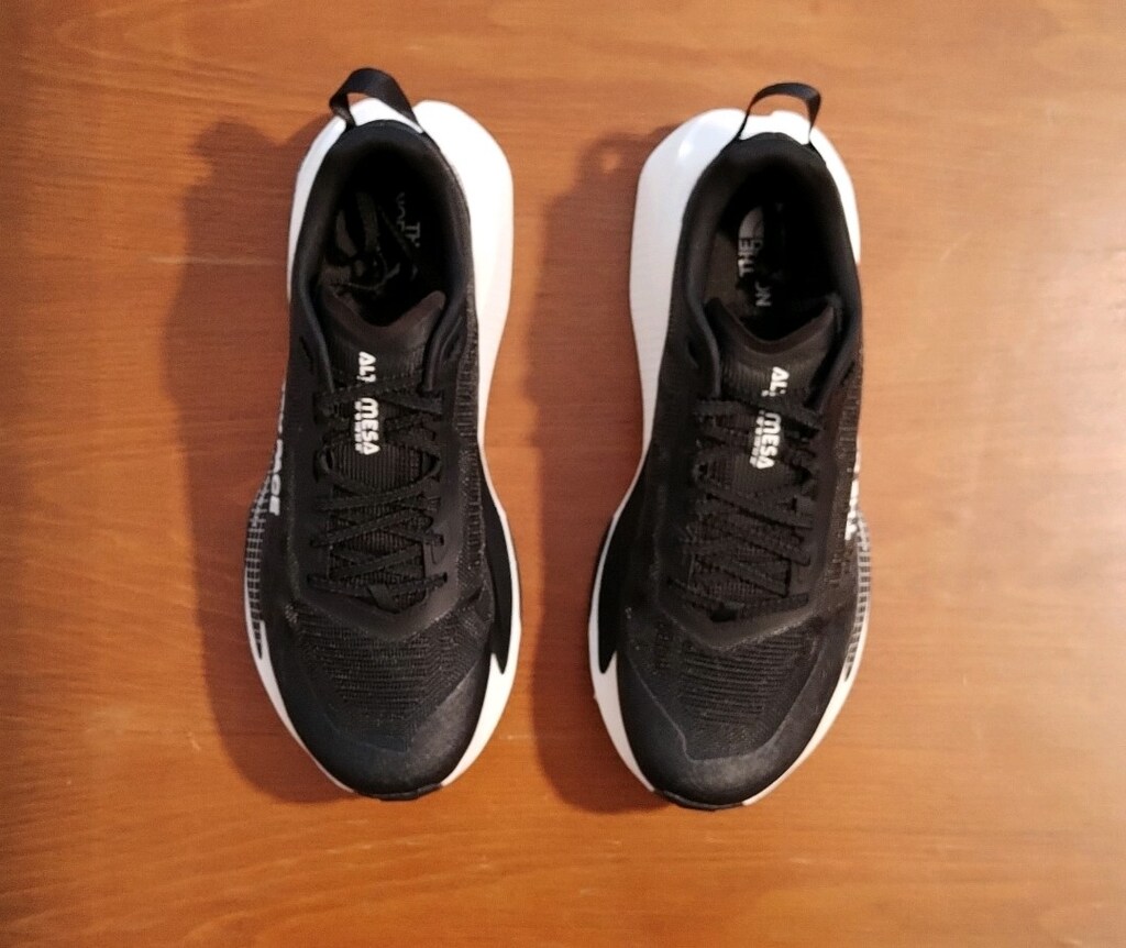 The North Face Altamesa 500 v2 44,5 numara - 5