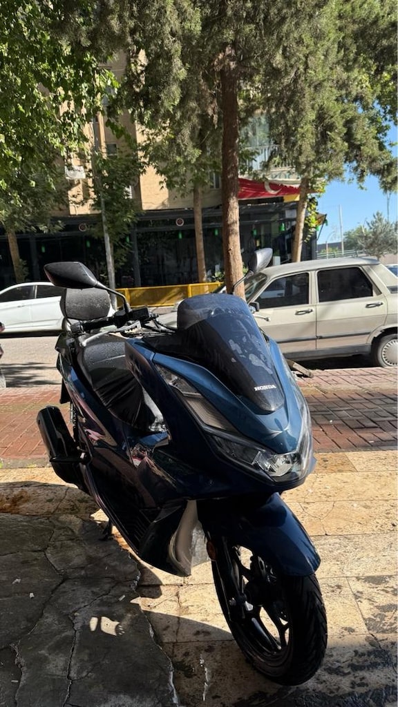 PCX - 4