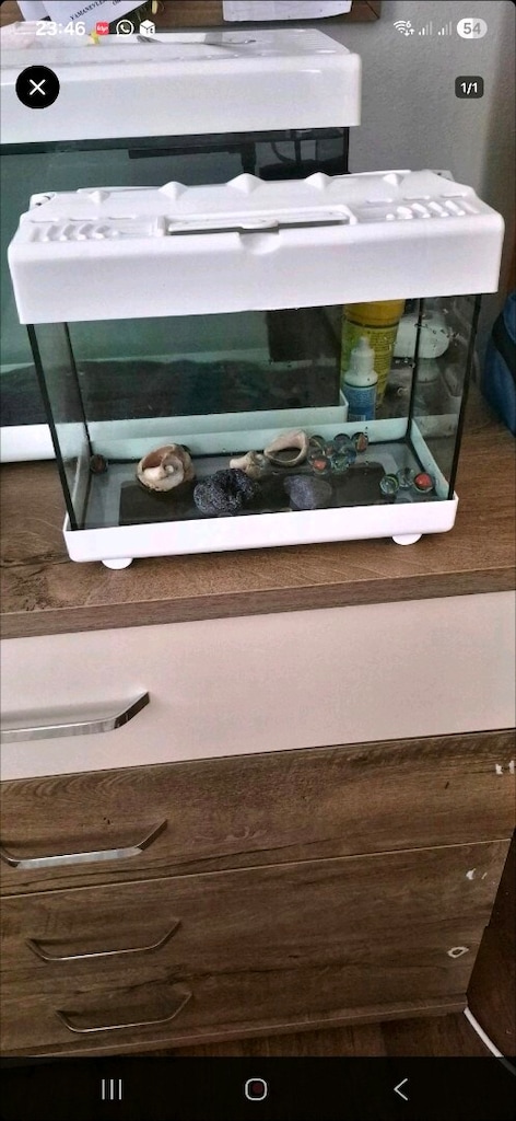 akvaryum orta boy eni iki karis var - 2